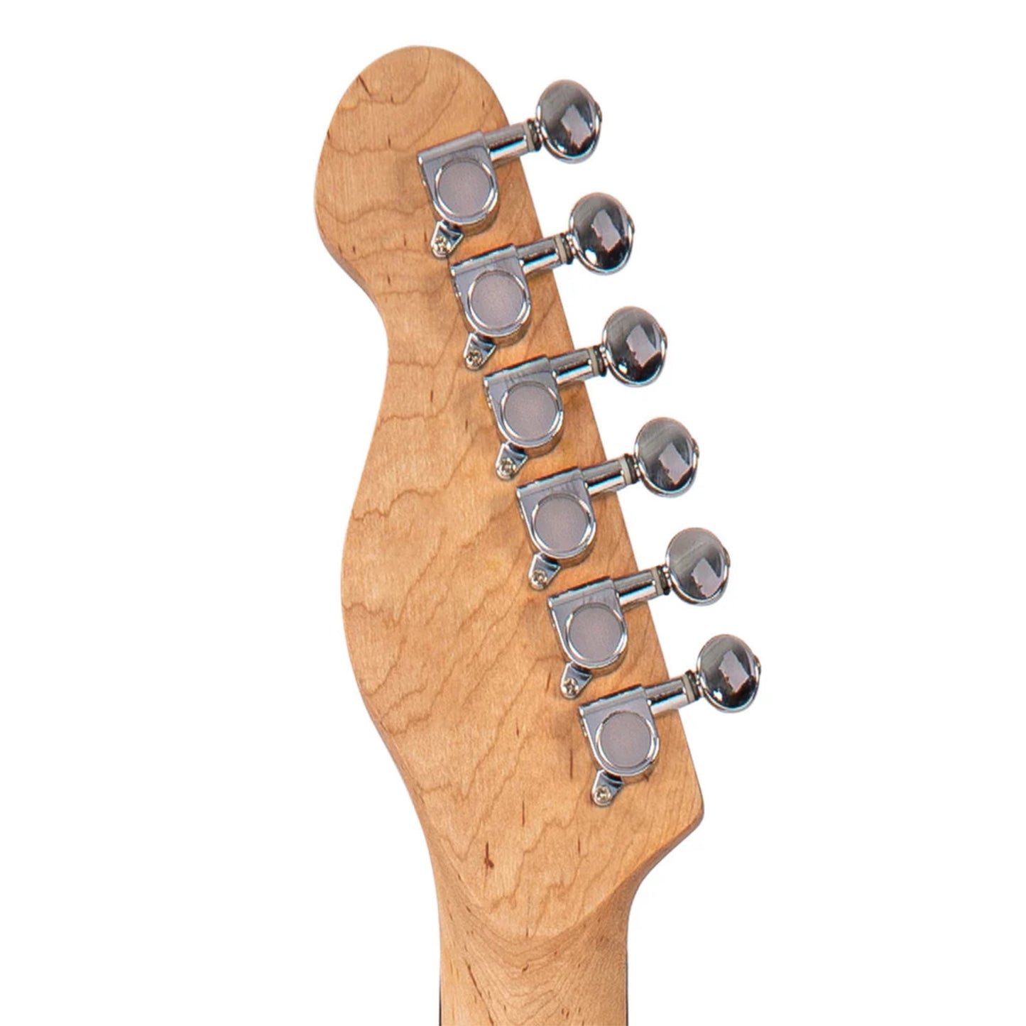 V20MBS MAPLE COASTER SERIES - GUITARRA ELECTRICA