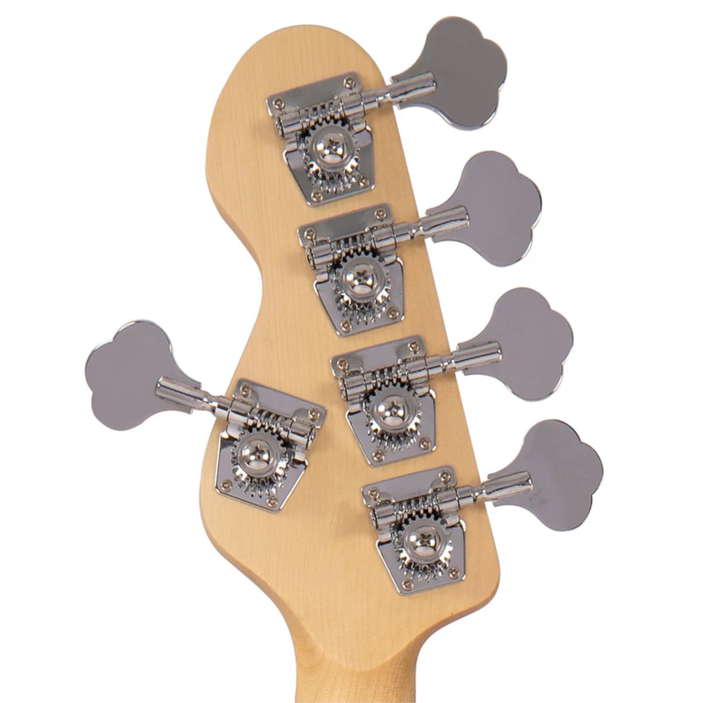 V495SB BAJO 5 CUERDAS COASTER SERIES