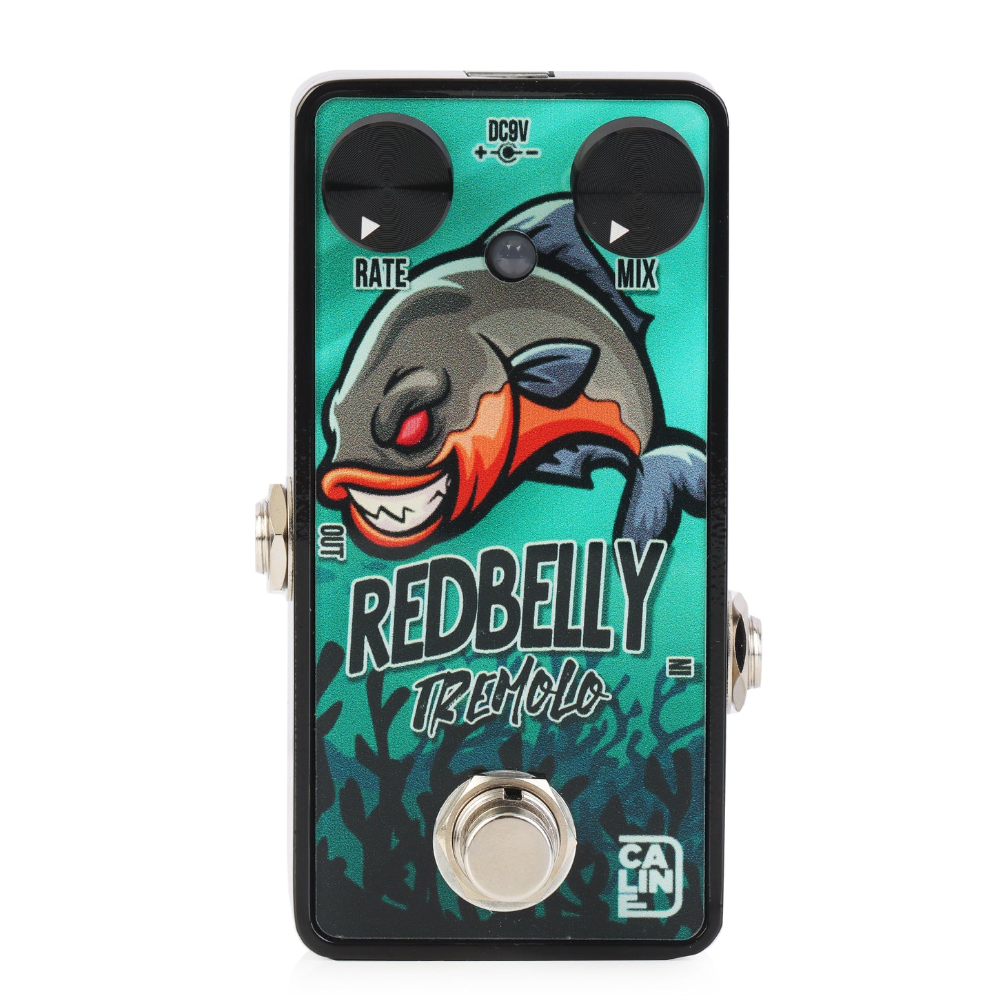 G007 REDBELLY TREMOLO